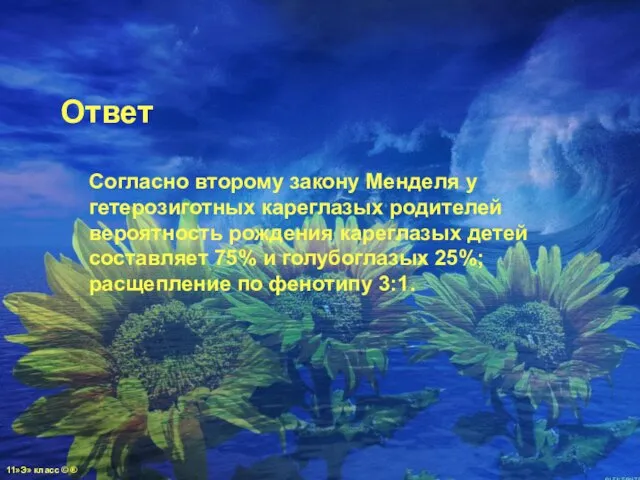 Ответ Согласно второму закону Менделя у гетерозиготных кареглазых родителей вероятность рождения кареглазых