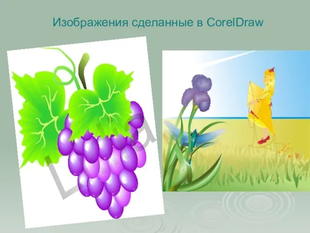 Изображения сделанные в CorelDraw