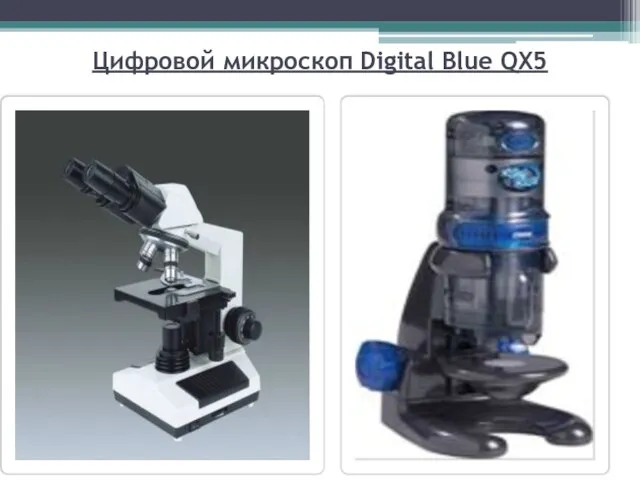 Цифровой микроскоп Digital Blue QX5