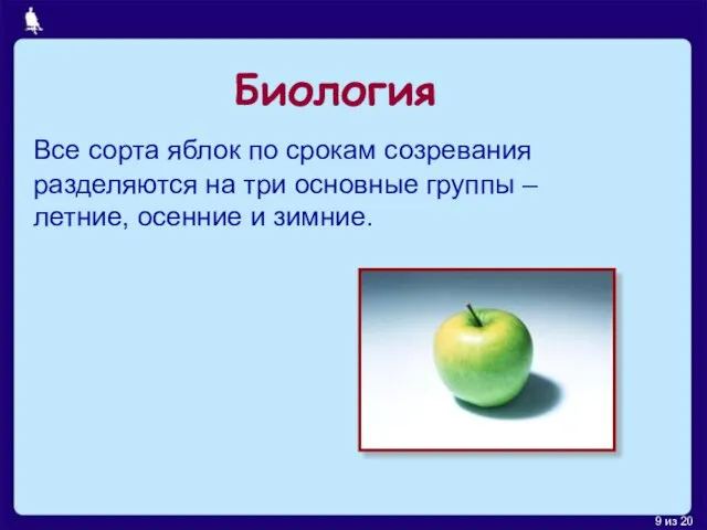 Биология Все сорта яблок по срокам созревания разделяются на три основные группы