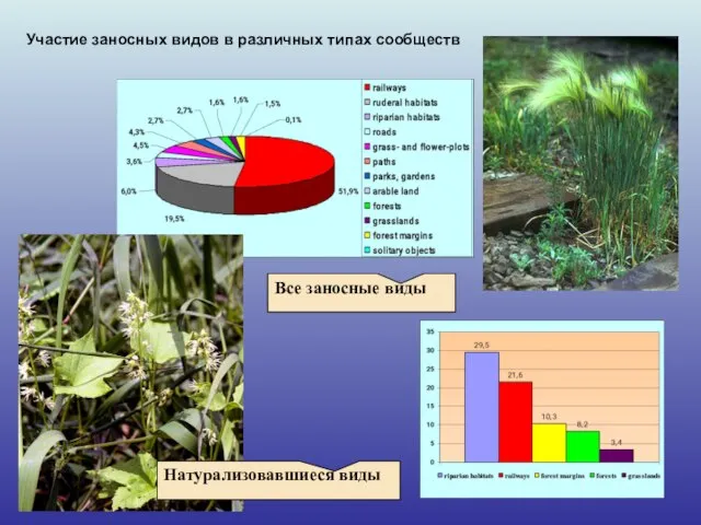 Участие заносных видов в различных типах сообществ Натурализовавшиеся виды Все заносные виды