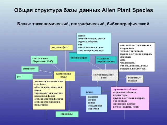 Общая структура базы данных Alien Plant Species Блоки: таксономический, географический, библиографический