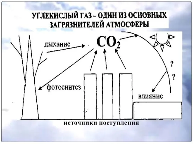 источники поступления