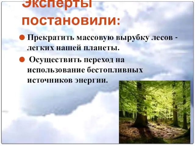 Эксперты постановили: Прекратить массовую вырубку лесов - легких нашей планеты. Осуществить переход