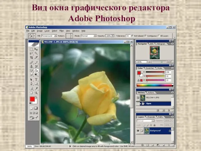 Вид окна графического редактора Adobe Photoshop
