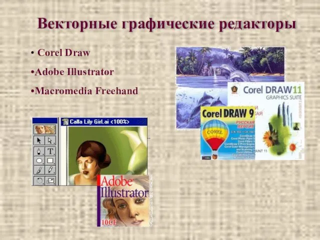 Векторные графические редакторы Corel Draw Adobe Illustrator Macromedia Freehand