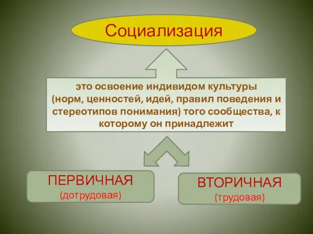 Социализация это освоение индивидом культуры (норм, ценностей, идей, правил поведения и стереотипов