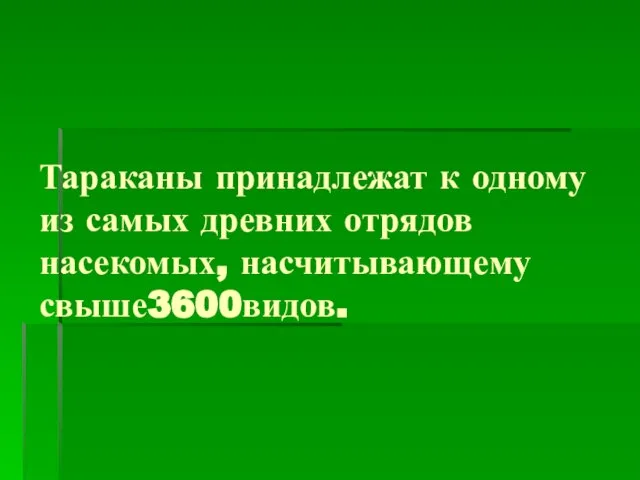 Тараканы принадлежат к одному из самых древних отрядов насекомых, насчитывающему свыше3600видов.