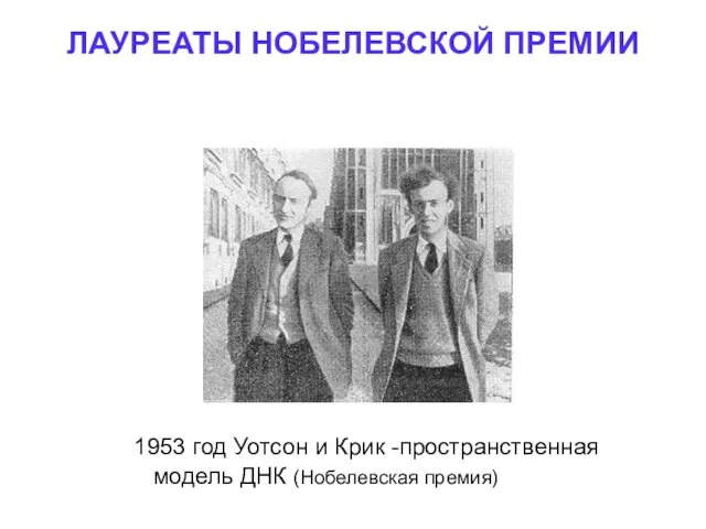 ЛАУРЕАТЫ НОБЕЛЕВСКОЙ ПРЕМИИ 1953 год Уотсон и Крик -пространственная модель ДНК (Нобелевская премия)