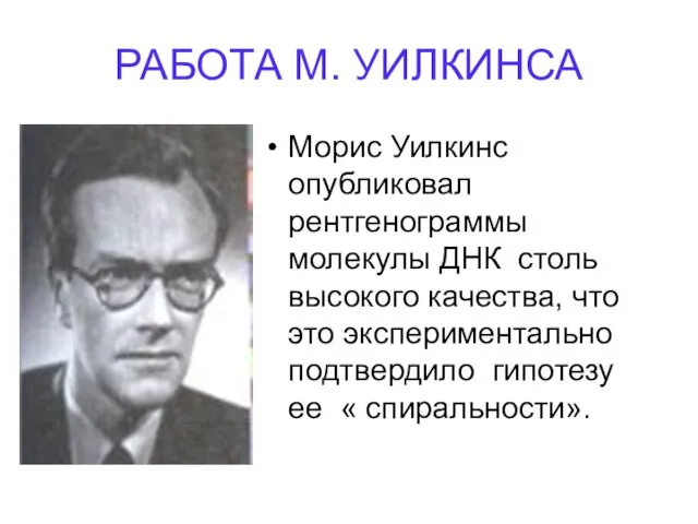 РАБОТА М. УИЛКИНСА Морис Уилкинс опубликовал рентгенограммы молекулы ДНК столь высокого качества,