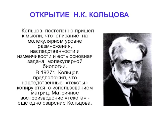 ОТКРЫТИЕ Н.К. КОЛЬЦОВА Кольцов постепенно пришел к мысли, что описание на молекулярном