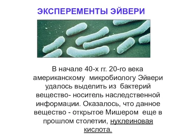 ЭКСПЕРЕМЕНТЫ ЭЙВЕРИ В начале 40-х гг. 20-го века американскому микробиологу Эйвери удалось