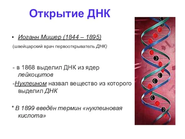 Открытие ДНК Иоганн Мишер (1844 – 1895) (швейцарский врач первооткрыватель ДНК) -