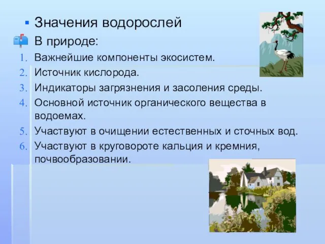 Значения водорослей В природе: Важнейшие компоненты экосистем. Источник кислорода. Индикаторы загрязнения и