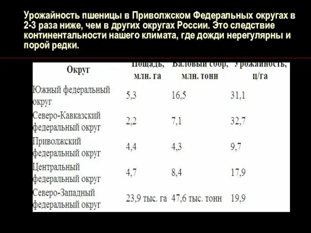 Урожайность пшеницы в Приволжском Федеральных округах в 2-3 раза ниже, чем в