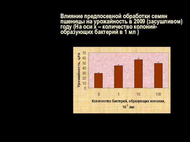 Влияние предпосевной обработки семян пшеницы на урожайность в 2009 (засушливом) году (На