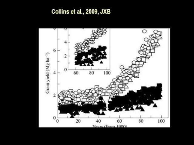 Collins et al., 2009, JXB