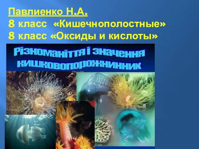 Павлиенко Н.А. 8 класс «Кишечнополостные» 8 класс «Оксиды и кислоты»