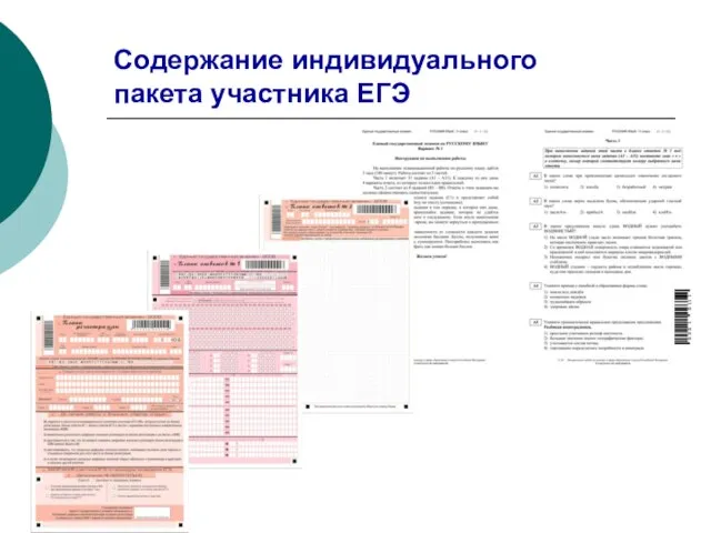 Содержание индивидуального пакета участника ЕГЭ