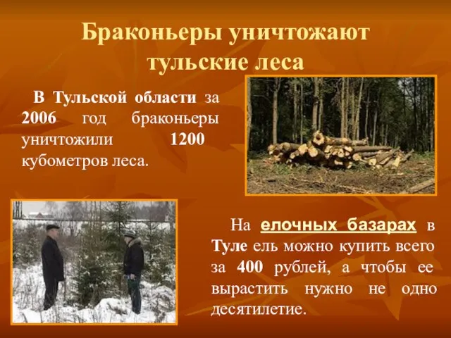 Браконьеры уничтожают тульские леса В Тульской области за 2006 год браконьеры уничтожили