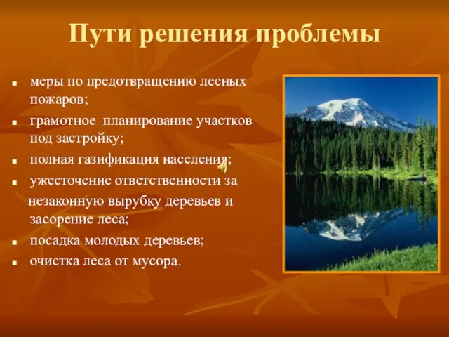 Пути решения проблемы меры по предотвращению лесных пожаров; грамотное планирование участков под