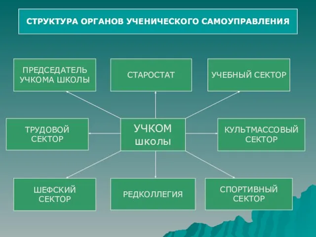 СТРУКТУРА ОРГАНОВ УЧЕНИЧЕСКОГО САМОУПРАВЛЕНИЯ УЧКОМ школы СТАРОСТАТ КУЛЬТМАССОВЫЙ СЕКТОР ПРЕДСЕДАТЕЛЬ УЧКОМА ШКОЛЫ