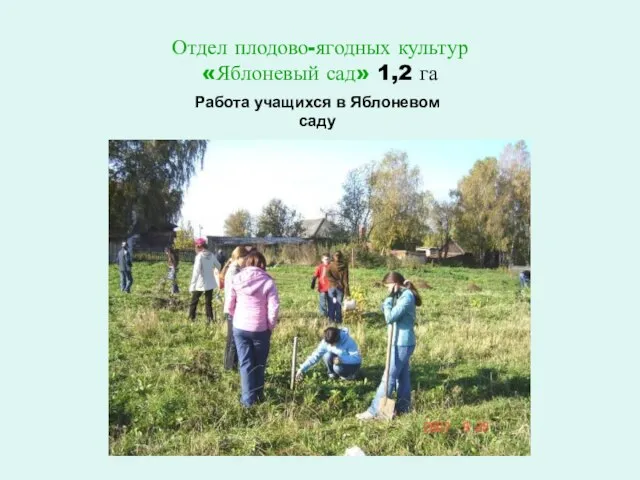 Отдел плодово-ягодных культур «Яблоневый сад» 1,2 га Работа учащихся в Яблоневом саду