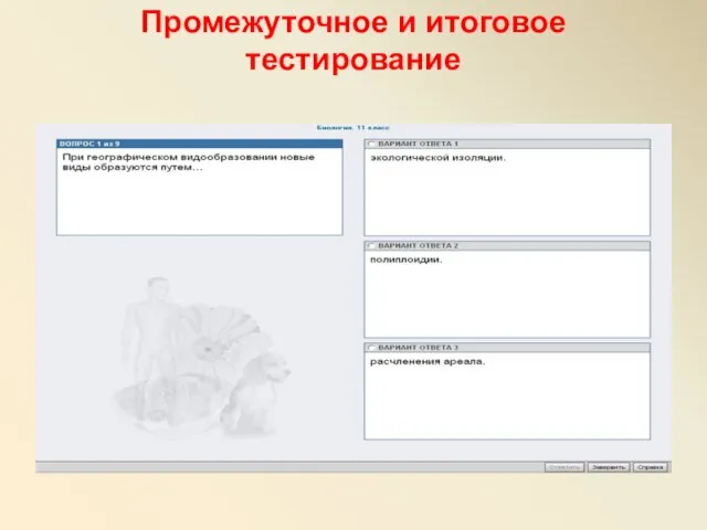 Промежуточное и итоговое тестирование
