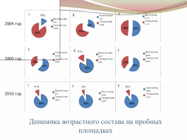 2004 год 2009 год 2010 год Динамика возрастного состава на пробных площадках