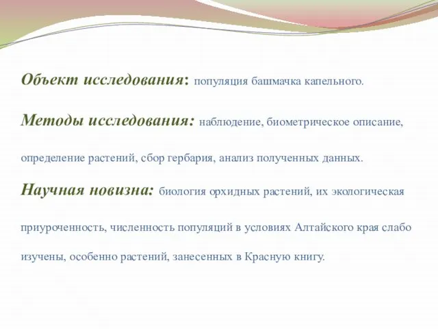 Объект исследования: популяция башмачка капельного. Методы исследования: наблюдение, биометрическое описание, определение растений,