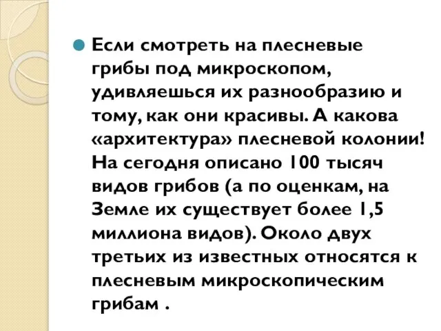 Если смотреть на плесневые грибы под микроскопом, удивляешься их разнообразию и тому,