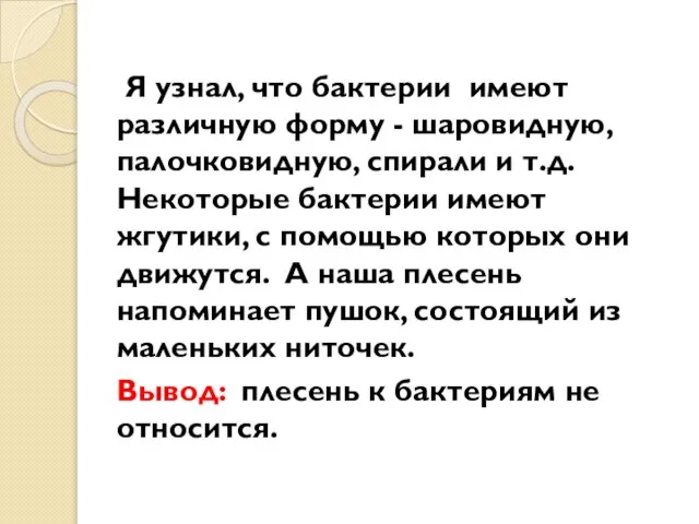 Я узнал, что бактерии имеют различную форму - шаровидную, палочковидную, спирали и