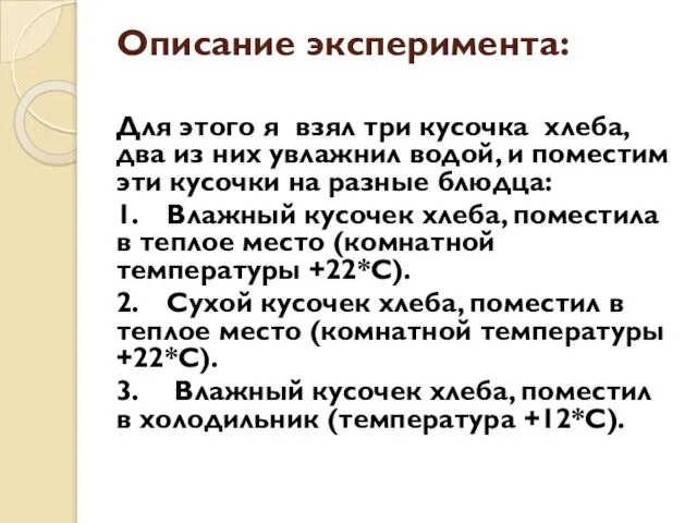 Описание эксперимента: Для этого я взял три кусочка хлеба, два из них