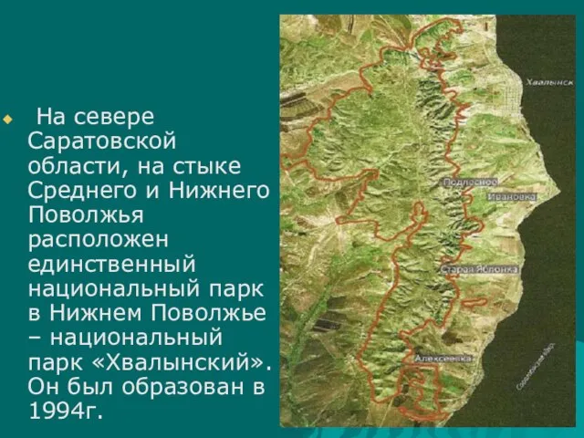 На севере Саратовской области, на стыке Среднего и Нижнего Поволжья расположен единственный