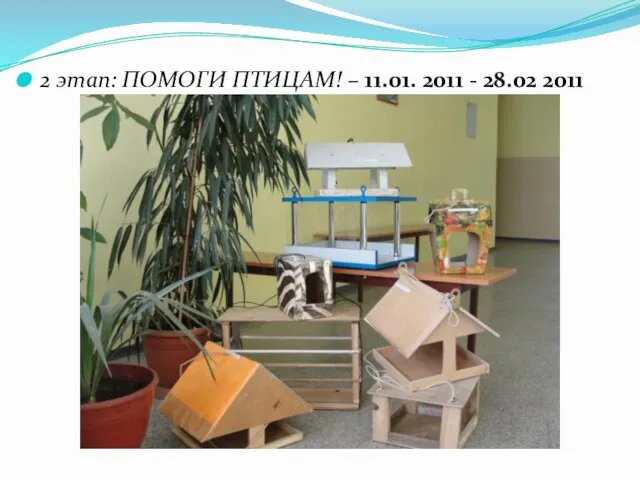 2 этап: ПОМОГИ ПТИЦАМ! – 11.01. 2011 - 28.02 2011