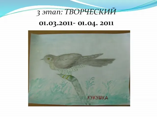 3 этап: ТВОРЧЕСКИЙ 01.03.2011- 01.04. 2011