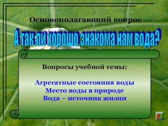 Основополагающий вопрос А так ли хорошо знакома нам вода? Вопросы учебной темы: