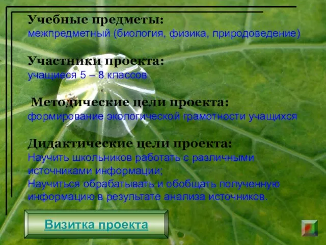 Учебные предметы: межпредметный (биология, физика, природоведение) Участники проекта: учащиеся 5 – 8