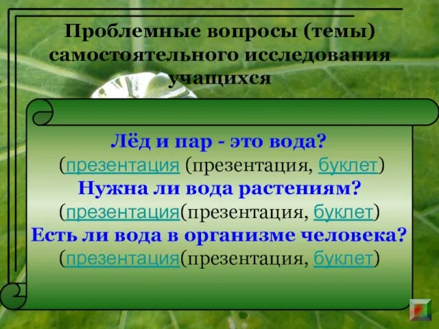 Проблемные вопросы (темы) самостоятельного исследования учащихся Лёд и пар - это вода?