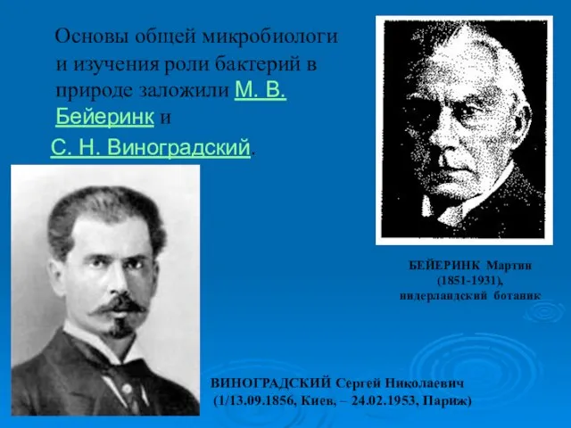 Основы общей микробиологи и изучения роли бактерий в природе заложили М. В.