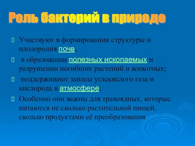 Участвуют в формировании структуры и плодородия почв, в образовании полезных ископаемых и