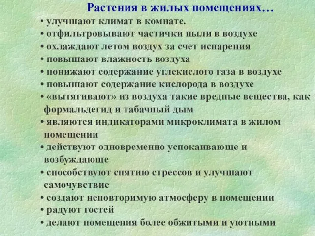 Растения в жилых помещениях… улучшают климат в комнате. отфильтровывают частички пыли в