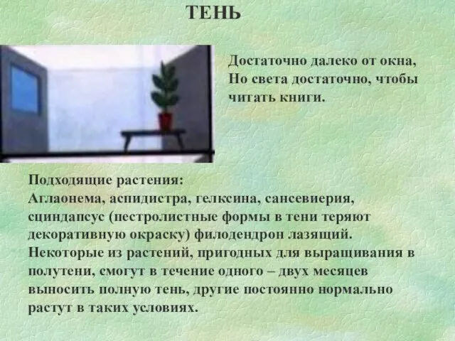 ТЕНЬ Достаточно далеко от окна, Но света достаточно, чтобы читать книги. Подходящие