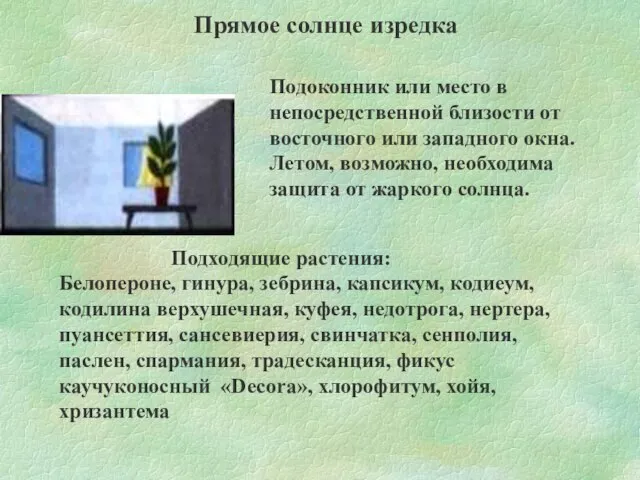 Прямое солнце изредка Подоконник или место в непосредственной близости от восточного или