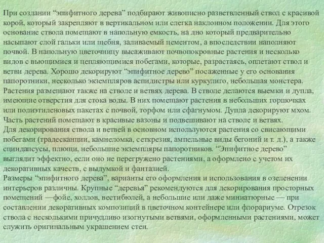 При создании “эпифитного дерева” подбирают живописно разветвленный ствол с красивой корой, который