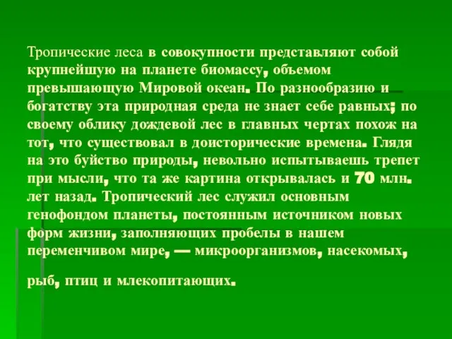 Тропические леса в совокупности представляют собой крупнейшую на планете биомассу, объемом превышающую