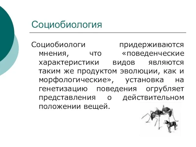 Социобиология Социобиологи придерживаются мнения, что «поведенческие характеристики видов являются таким же продуктом