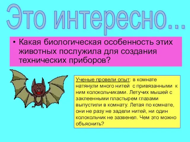 Какая биологическая особенность этих животных послужила для создания технических приборов? Это интересно...