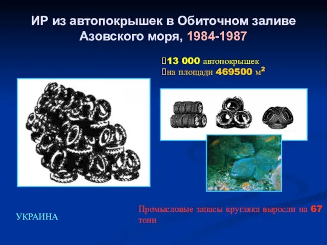 ИР из автопокрышек в Обиточном заливе Азовского моря, 1984-1987 13 000 автопокрышек