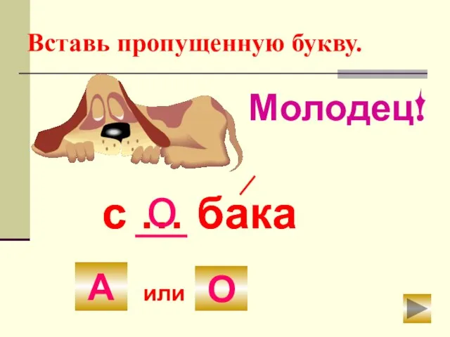 Вставь пропущенную букву. с … бака А или О с … бака о Молодец! А